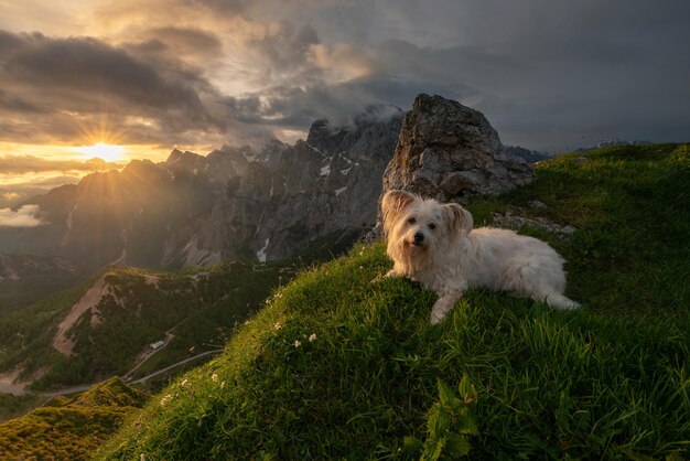 Photo lever du soleil dans les montagnes un matin maussade dans les alpes juliennes