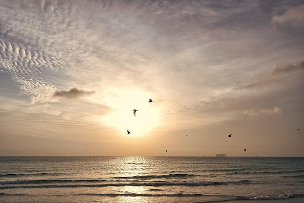 Lever du soleil dans l'océan ou l'eau de mer avec la silhouette du navire et des mouettes sur le ciel coucher de soleil