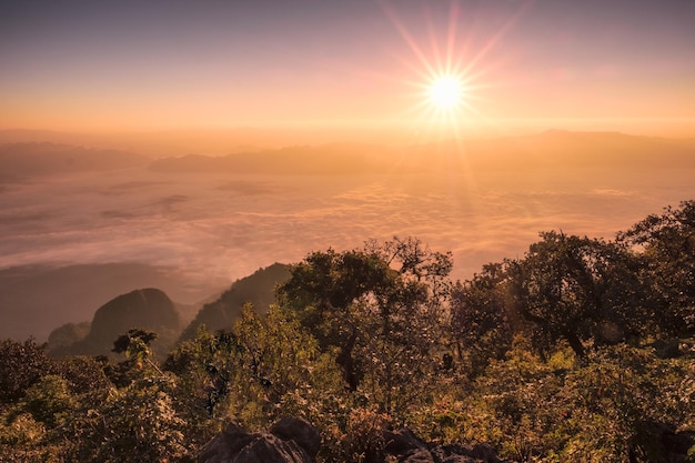 Lever du soleil sur l'horizon avec brouillard sur ciel coloré