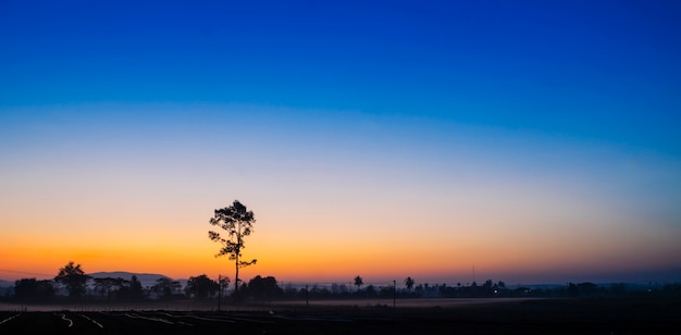 Lever du soleil le matin et une vue sur les arbres.