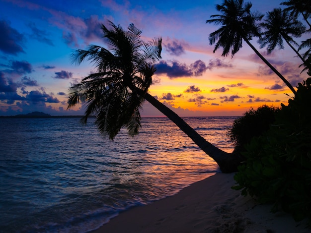 Lever du soleil sur la mer, plage de désert tropical