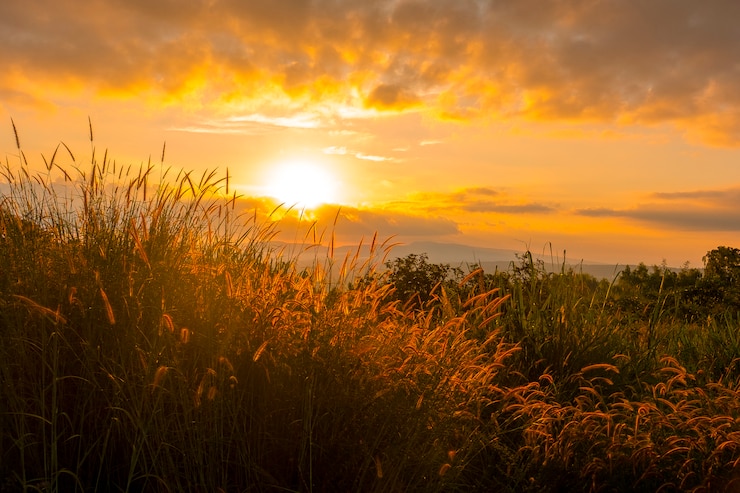 Photo lever du soleil sur la montagne avec des champs d'herbe à l'avant