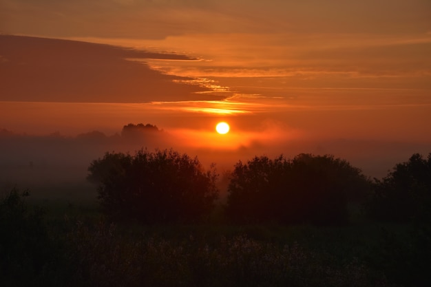 Lever du soleil orange avec des brouillards dans la forêt. silhouettes d'arbres à l'aube