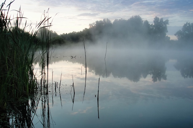 Lever du soleil et rivière avec brouillard matinal. Brume sur l'eau et réflexion de la forêt d'arbres au lac. Nature et paysage. Coucher de soleil avec le soleil apparaissant dans le ciel bleu. L'été à la campagne. Paysage brumeux et brumeux