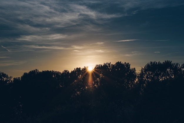 Lever du soleil avec une vue sur les arbres