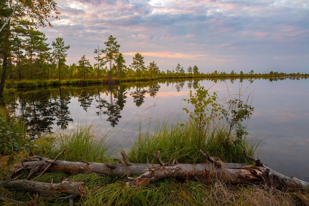 Lever du soleil à Yelnya Bog Belarus l'un des plus grands marécages d'Europe