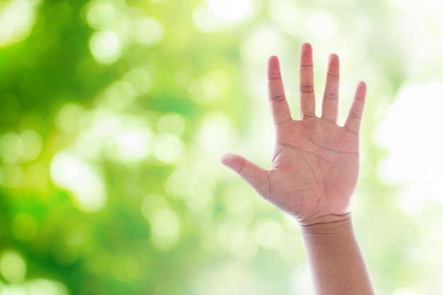 Lever les mains sur bokeh naturel vert flou abstrait