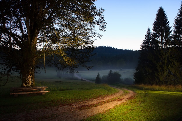 Lever de soleil avec brouillard