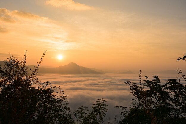 Lever de soleil sur le brouillard.