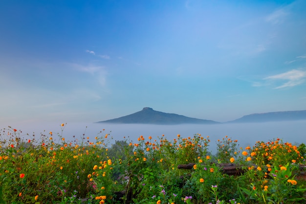 Lever de soleil avec la brume Beau paysage pour se détendre en Thaïlande