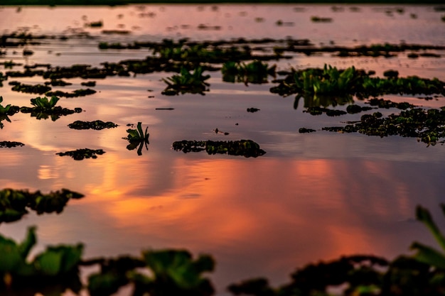 Lever de soleil coloré sur le lac dans la nature