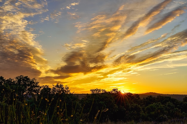 Lever de soleil doré sur le terrain avec des nuages colorés.