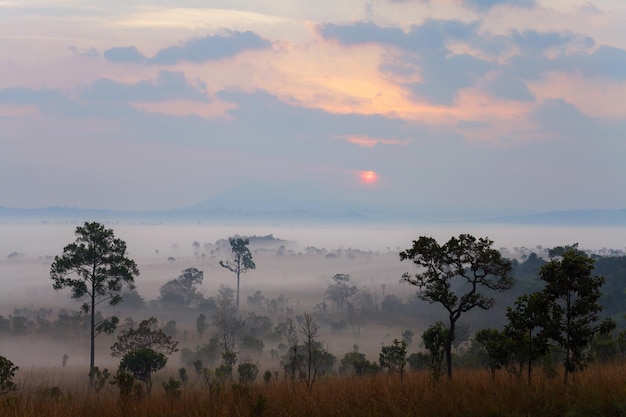 Lever de soleil matin brumeux au parc national de Thung Salang Luang Phetchabun