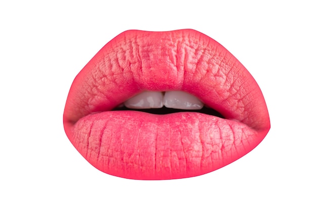 Lèvre gros plan lèvres macro lèvres isolées sur blanc
