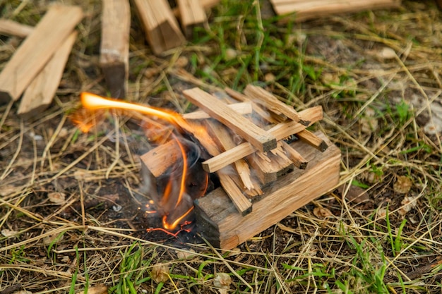 Libre de brûler des morceaux de bois hachés comme bois de chauffage gisant sur le sol