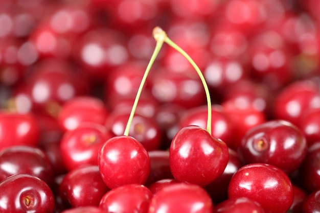 Libre de cerises fruits