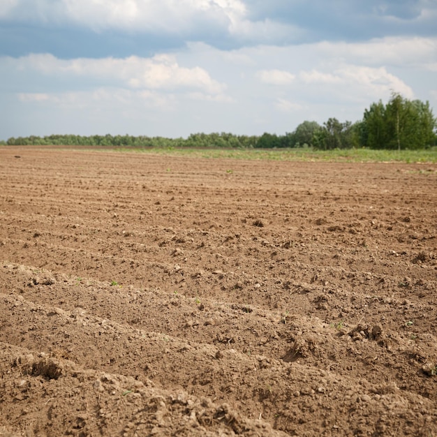 Libre d'un champ agricole labouré contre un ciel nuageux et des arbres verts Concept agricole