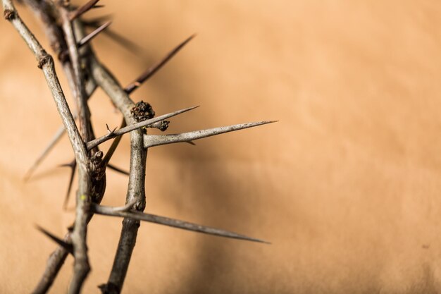 Libre d'une couronne d'épines