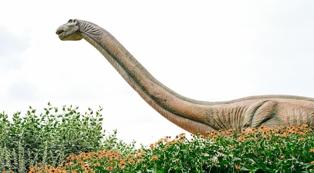 Libre d'un dinosaure robotique de l'espèce diplodocus dans un parc d'attractions