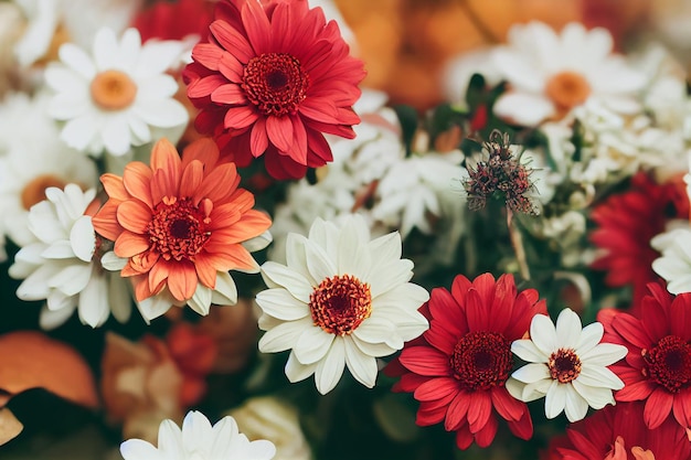 Libre de fleurs colorées flottant sur fond blanc