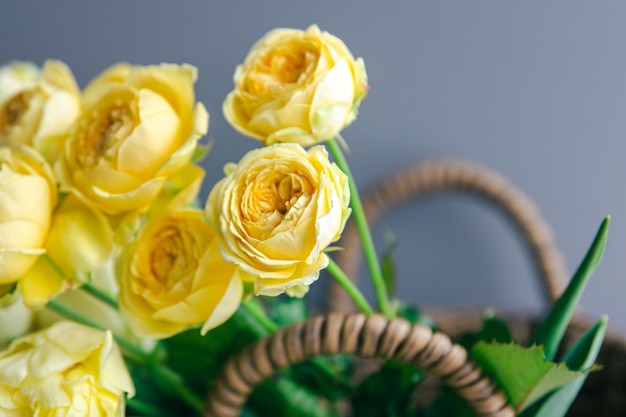 Libre de fleurs de printemps jaune dans un panier