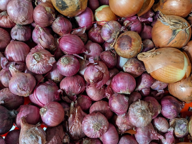 Photo libre de légumes oignons