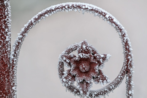 Libre de particules de givre sur une clôture métallique scène d'hiver