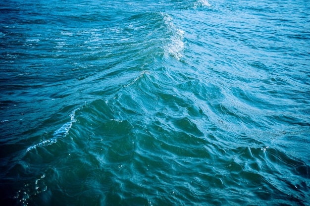Libre d'une petite vague de mer dans des tons bleus