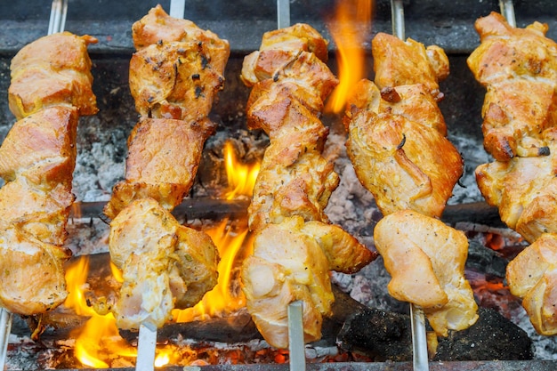 Libre de quelques brochettes de viande grillées dans un barbecue