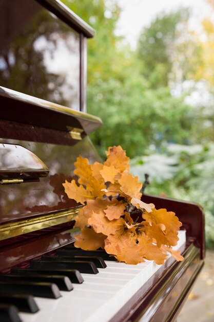 Libre de touches de piano avec des feuilles de chêne sur eux Music concept Autumn