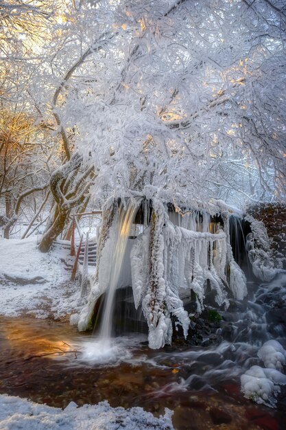 Le lieu de baignade d'été à l'extérieur est recouvert de glace et de givre