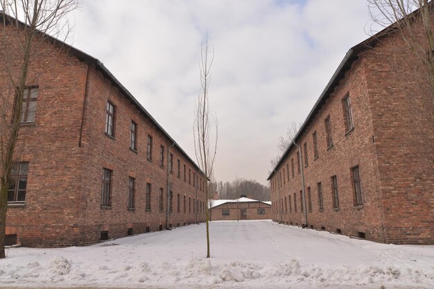 Un lieu de mal et d'inhumanité Camp de la mort d'Auschwitz