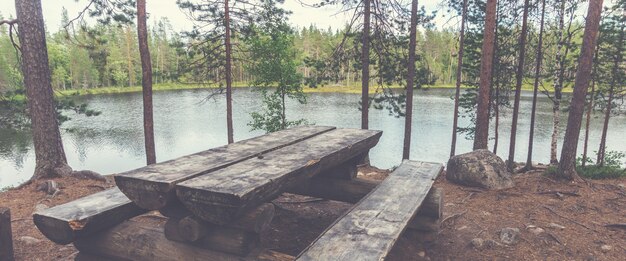 Lieu de repos sur l'itinéraire de randonnée Petit ours rond, Finlande. Parc national d'Oulanka