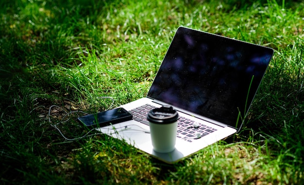 Lieu de travail extérieur. Musique gratuite. ambiance estivale. Relaxer. la vie des étudiants universitaires. Shopping en ligne. entreprise agile. Étude en ligne. ordinateur portable avec casque de téléphone portable et café pour aller sur l'herbe verte.