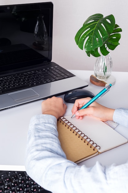 Lieu de travail avec ordinateur portable, mains de puple de garçon avec pan au-dessus de cahier et plante verte sur un tableau blanc.