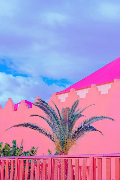 Lieu urbain tropical de mode Pink Wall Palm Ciel d'été bleu