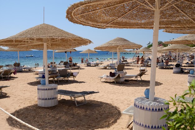 Les lieux de loisirs sont équipés de chaises longues sur la plage ou l'océan