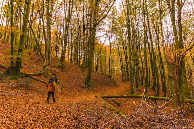 Lifestyle, une jeune brune en veste jaune marchant le long du chemin forestier à l'automne. Forêt d'Artikutza à San Sebastin, Gipuzkoa, Pays Basque. Espagne