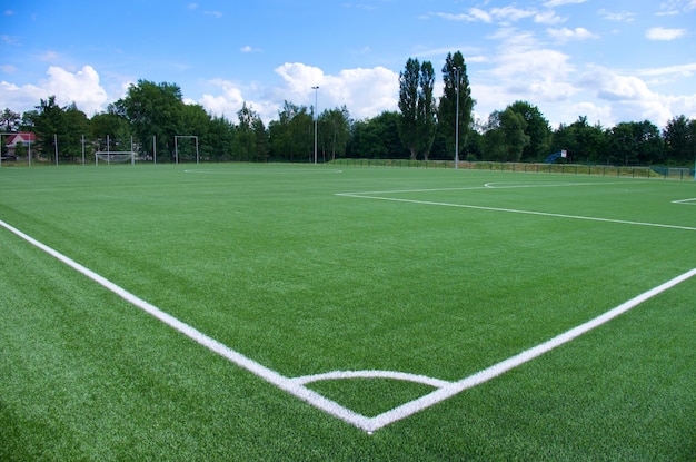 Ligne d'angle blanche sur le terrain de football vert bouchon en plastique sur le trou pour le drapeau d'angle