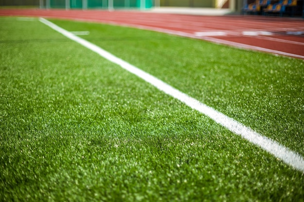 Ligne blanche sur l'herbe d'un terrain de football