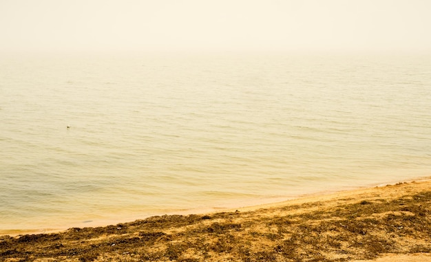 Photo ligne de côte et plage avec vue sur la mer à volendam, pays-bas, sous une atmosphère floue brumeuse