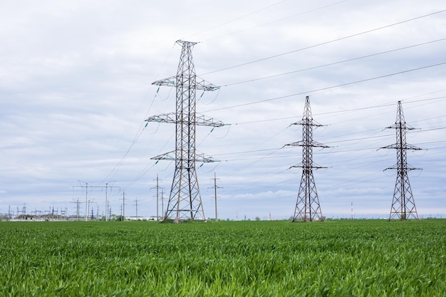 Ligne électrique dans un champ de blé vert