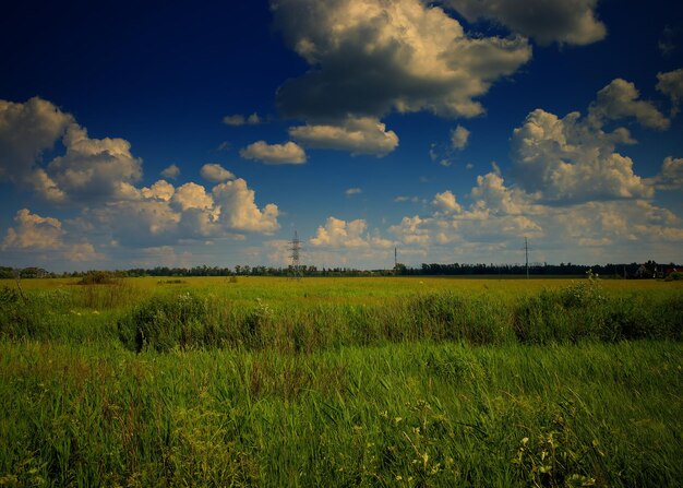 Ligne électrique sur fond de paysage de champ d'été