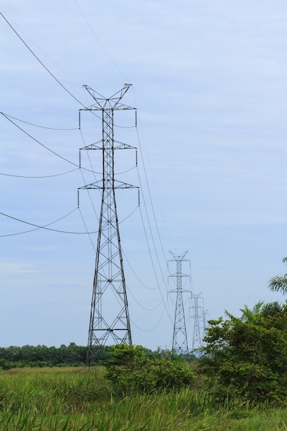 Ligne électrique haute tension