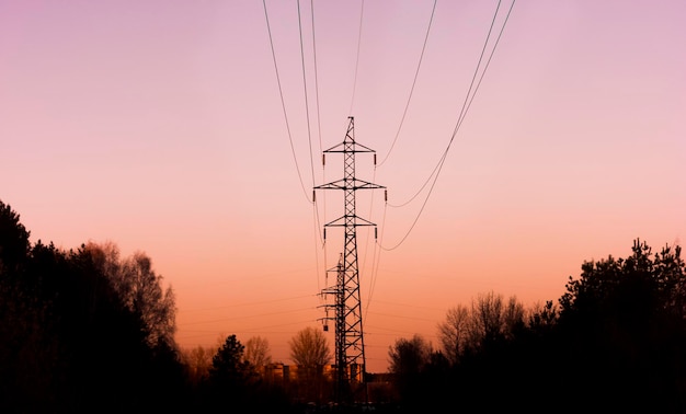 La ligne à haute tension dans la forêt entre dans le coucher du soleil, silhouette