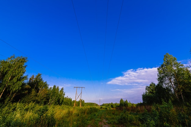 Ligne à haute tension dans la forêt un jour d'été