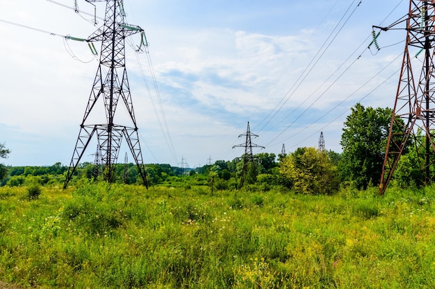 Ligne à haute tension en forêt