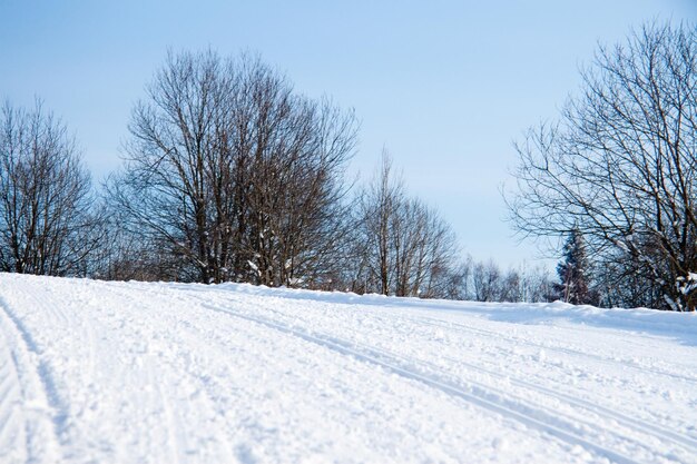 Ligne de ski