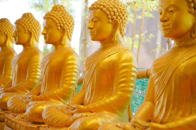 Une ligne de statues dorées de Bouddha dans le phra phutta ming mongkol akenakiri en Thaïlande à Phuket