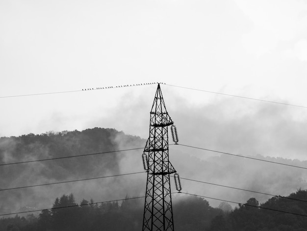 Ligne de transmission par temps orageux